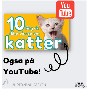 Også som YouTube-film