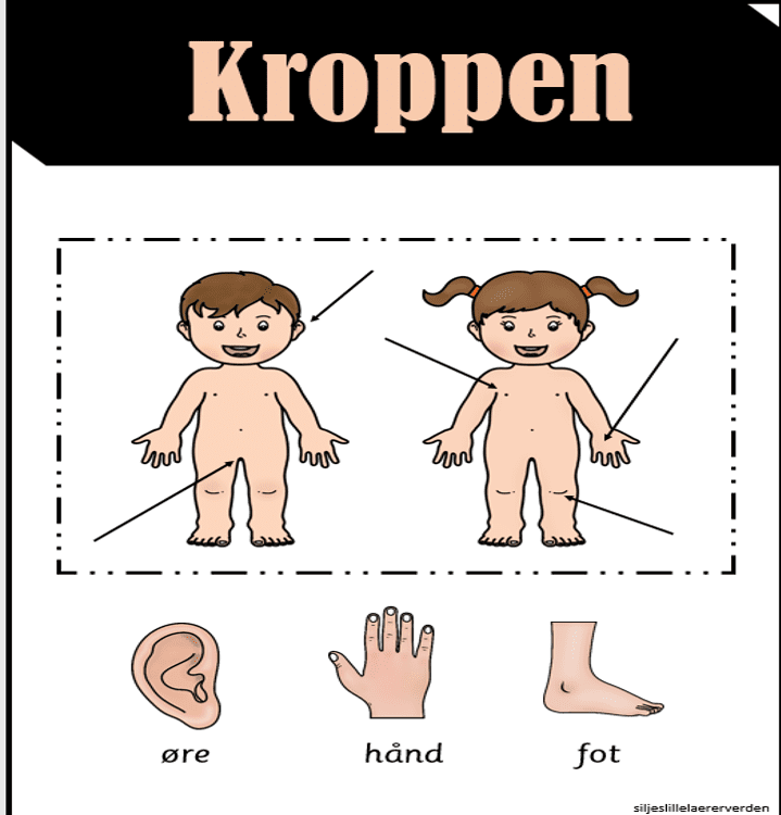 Temapakke: Kroppen