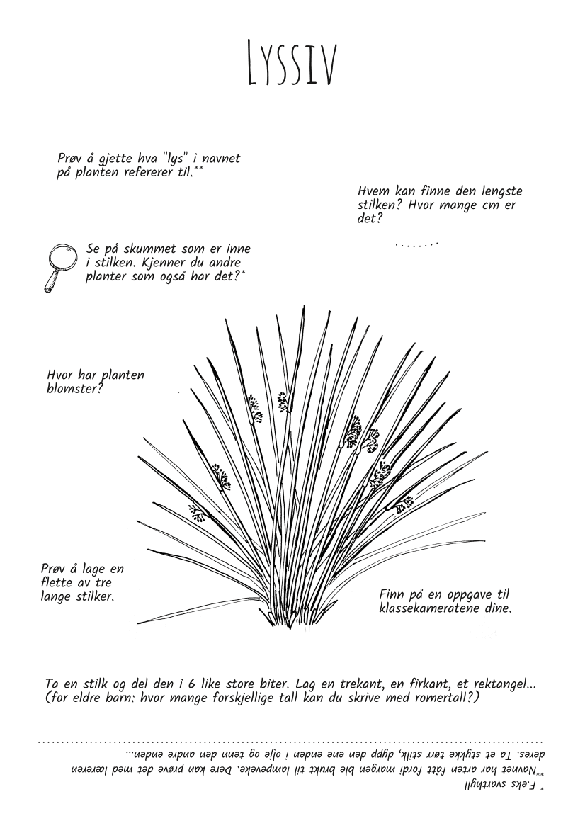 Utforsk planter: lyssiv