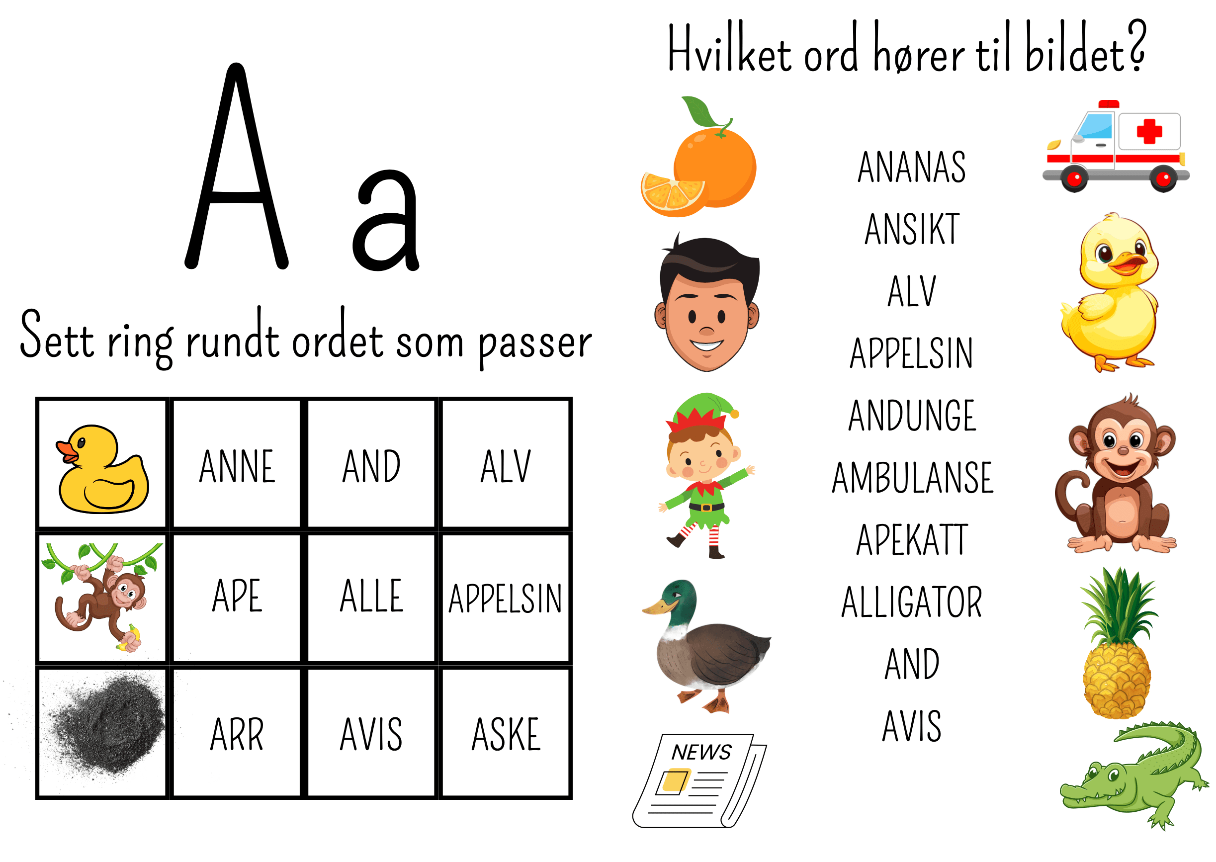 Hefte om alfabetet og begreper / 60 sider / ca. 250 ord med bilder!