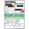 MATTEGULL - Subtraksjon til 1000 - NN og BM