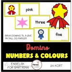 NUMBERS AND COLOURS domino