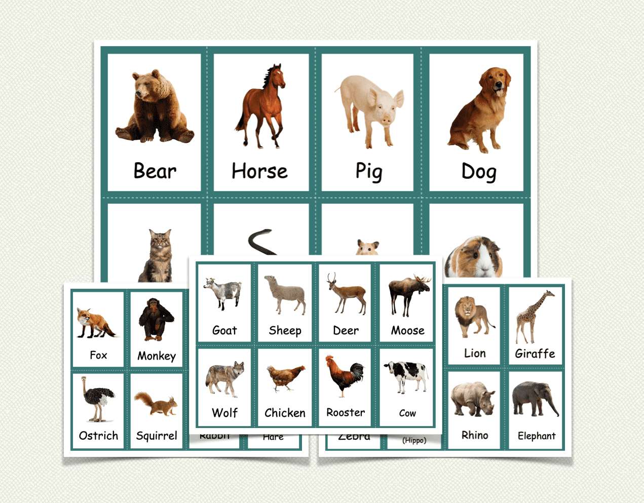 Animal cards