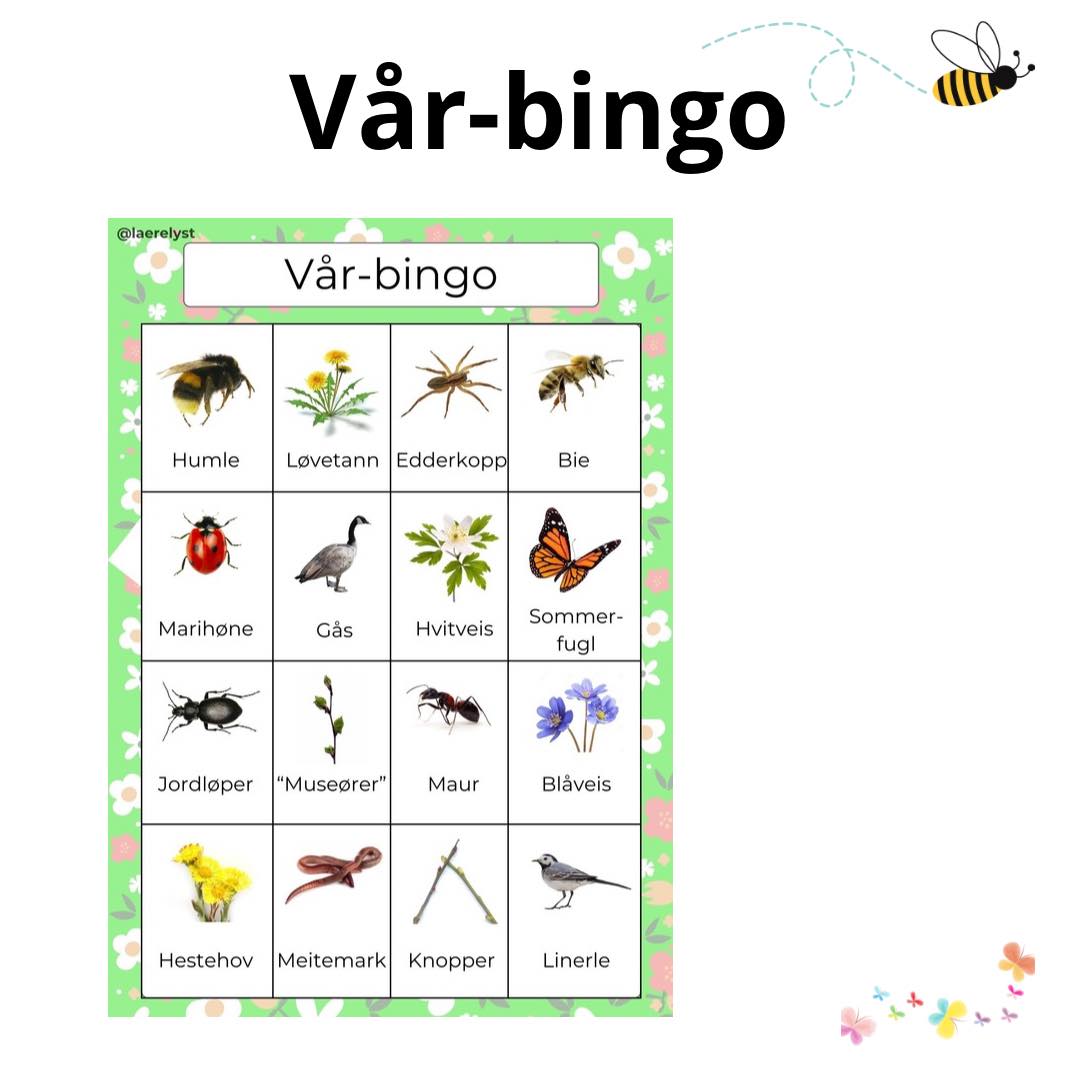 Vår-bingo