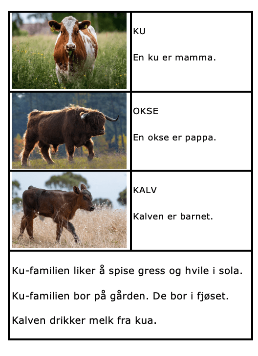 Jeg leser og lærer om dyrefamilier