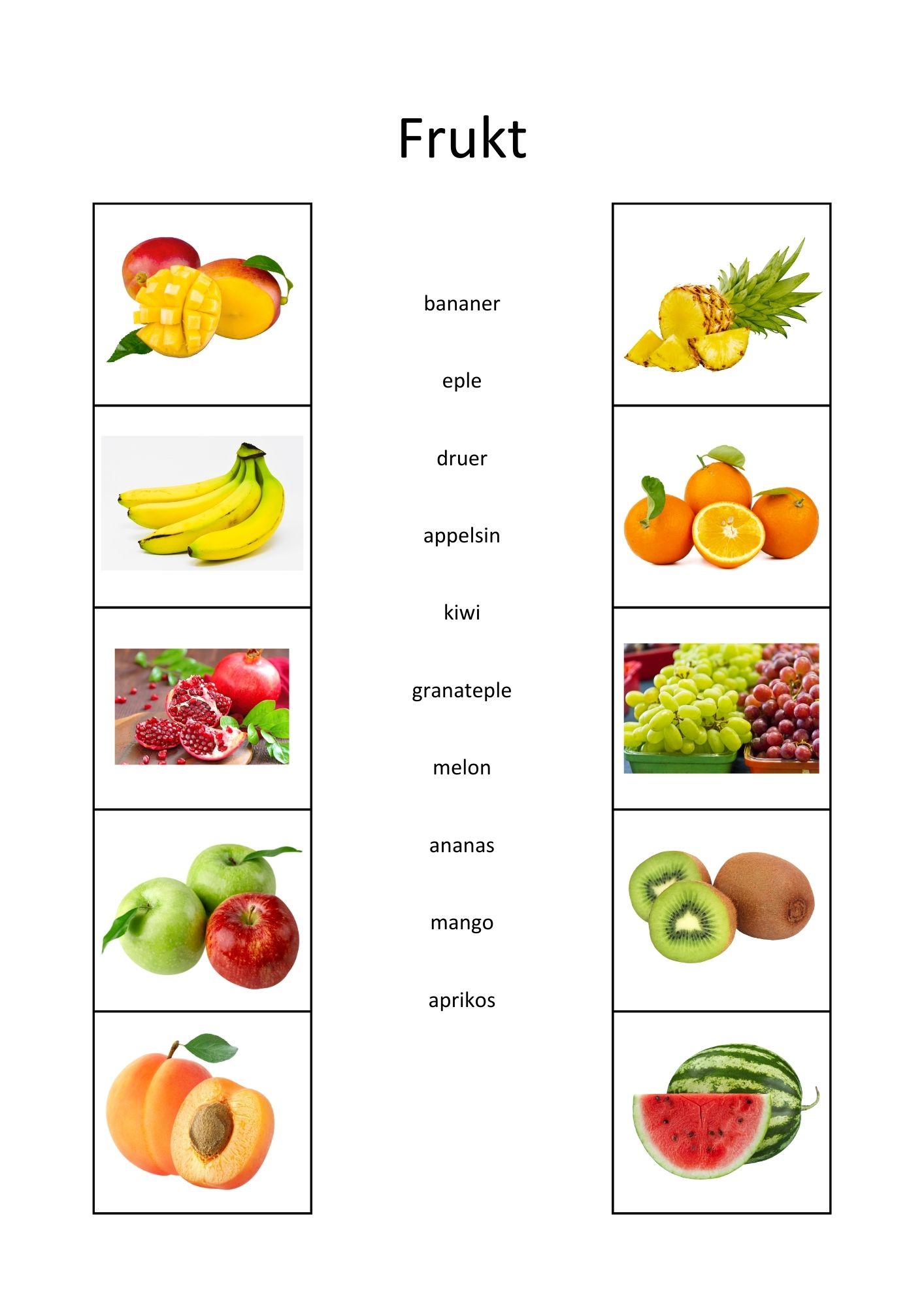 SAMLEPAKKE - kategorisering og sortering - arbeidshefte 1 & 2 - Bilde 2