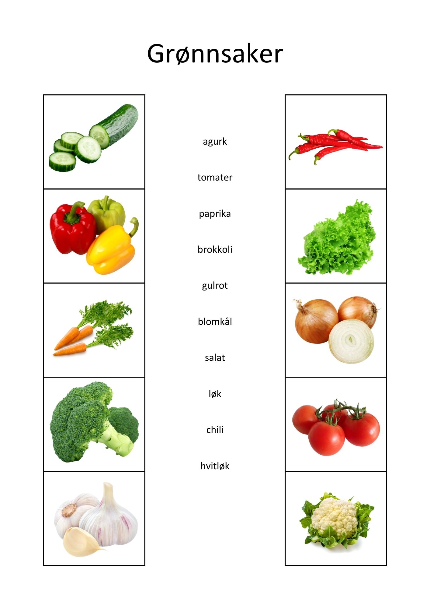 SAMLEPAKKE - kategorisering og sortering - arbeidshefte 1 & 2 - Bilde 3