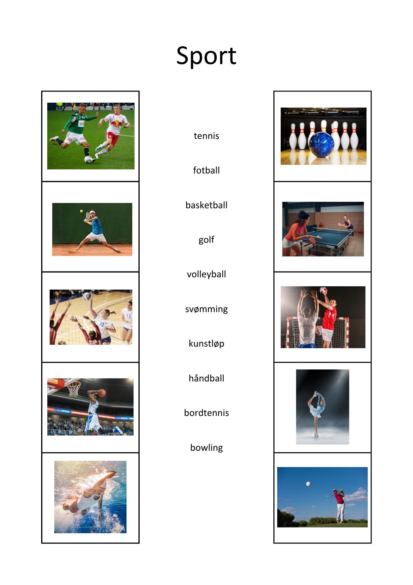 SAMLEPAKKE - kategorisering og sortering - arbeidshefte 1 & 2 - Bilde 6