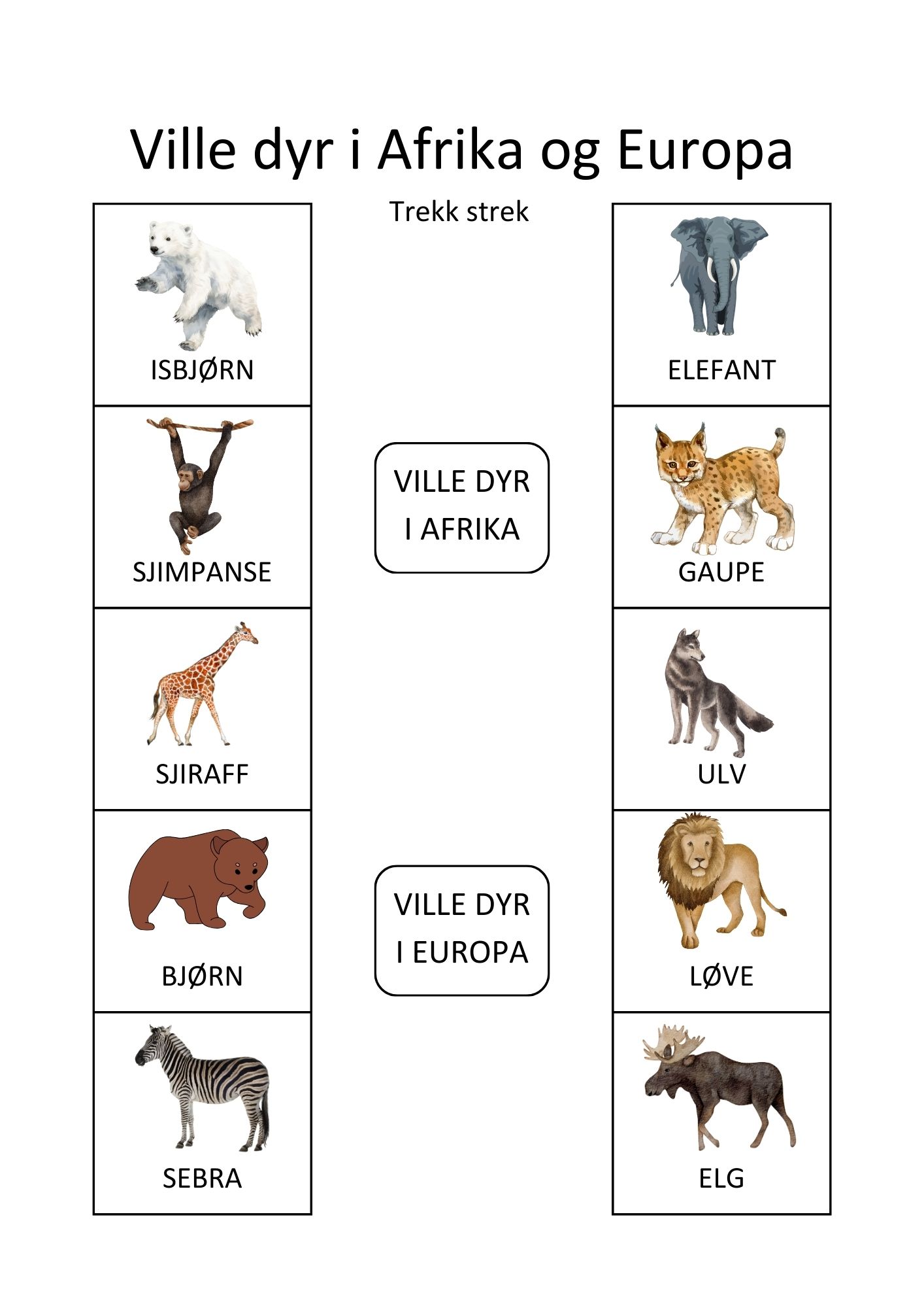 SAMLEPAKKE - kategorisering og sortering - arbeidshefte 1 & 2 - Bilde 14