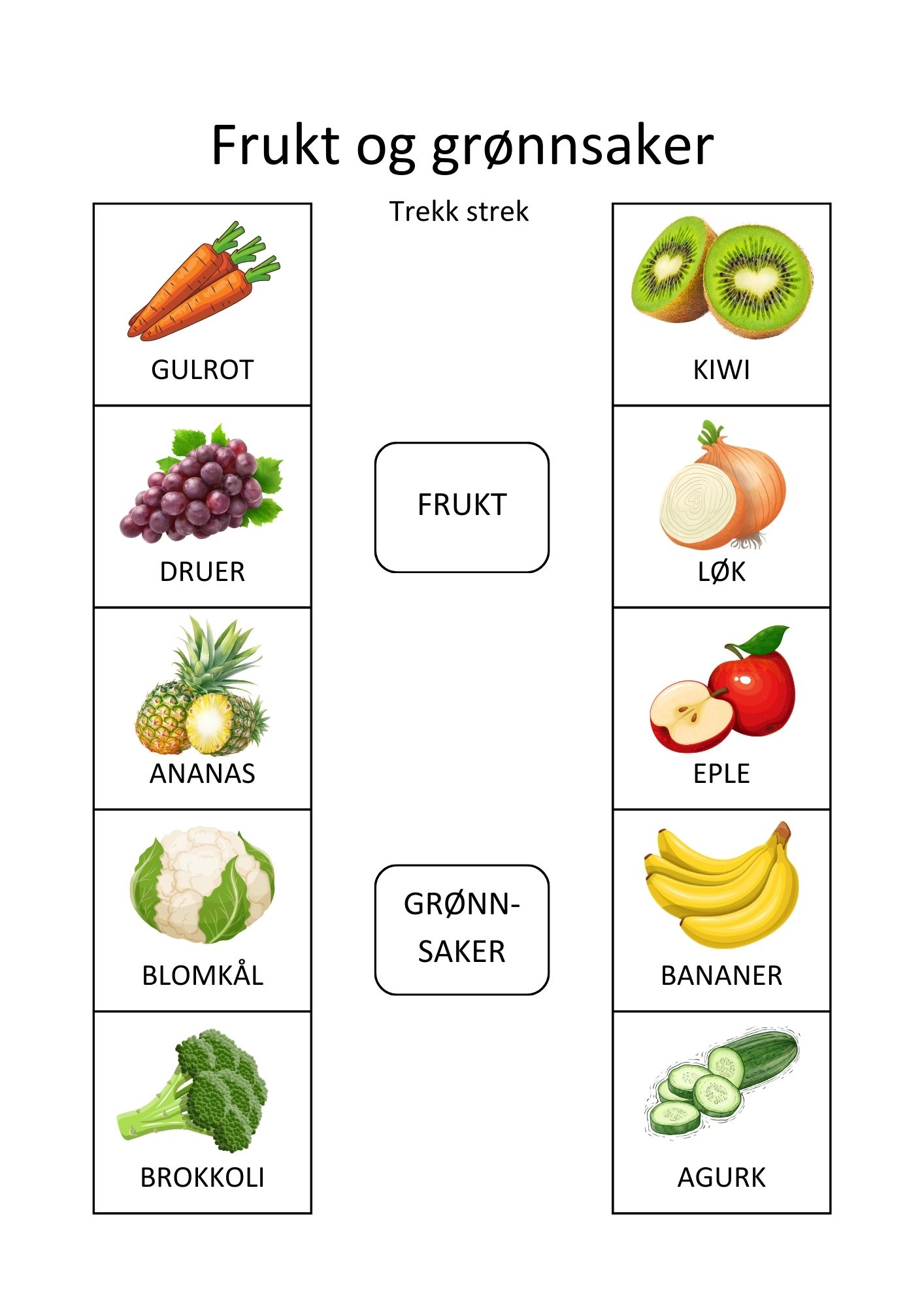 SAMLEPAKKE - kategorisering og sortering - arbeidshefte 1 & 2 - Bilde 15