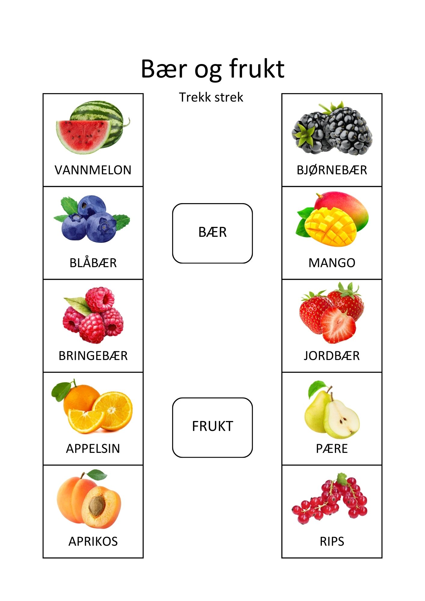 SAMLEPAKKE - kategorisering og sortering - arbeidshefte 1 & 2 - Bilde 17