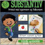 SUBSTANTIV (BM og NN)