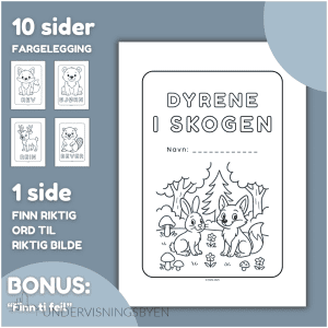 Dyrene i skogen - FARGELEGGINGSHEFTE - BARNEHAGE OG SKOLE