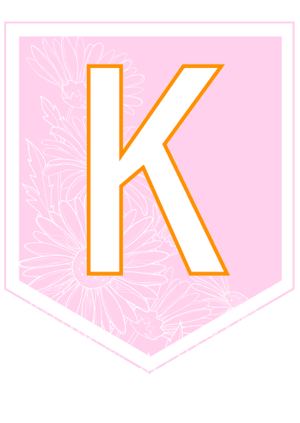 Vimpel - Velkommen til (...) trinn - Bilde 4