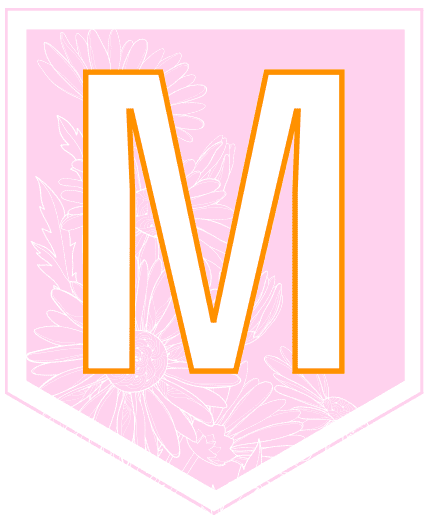 Vimpel - Velkommen til (...) trinn - Bilde 6