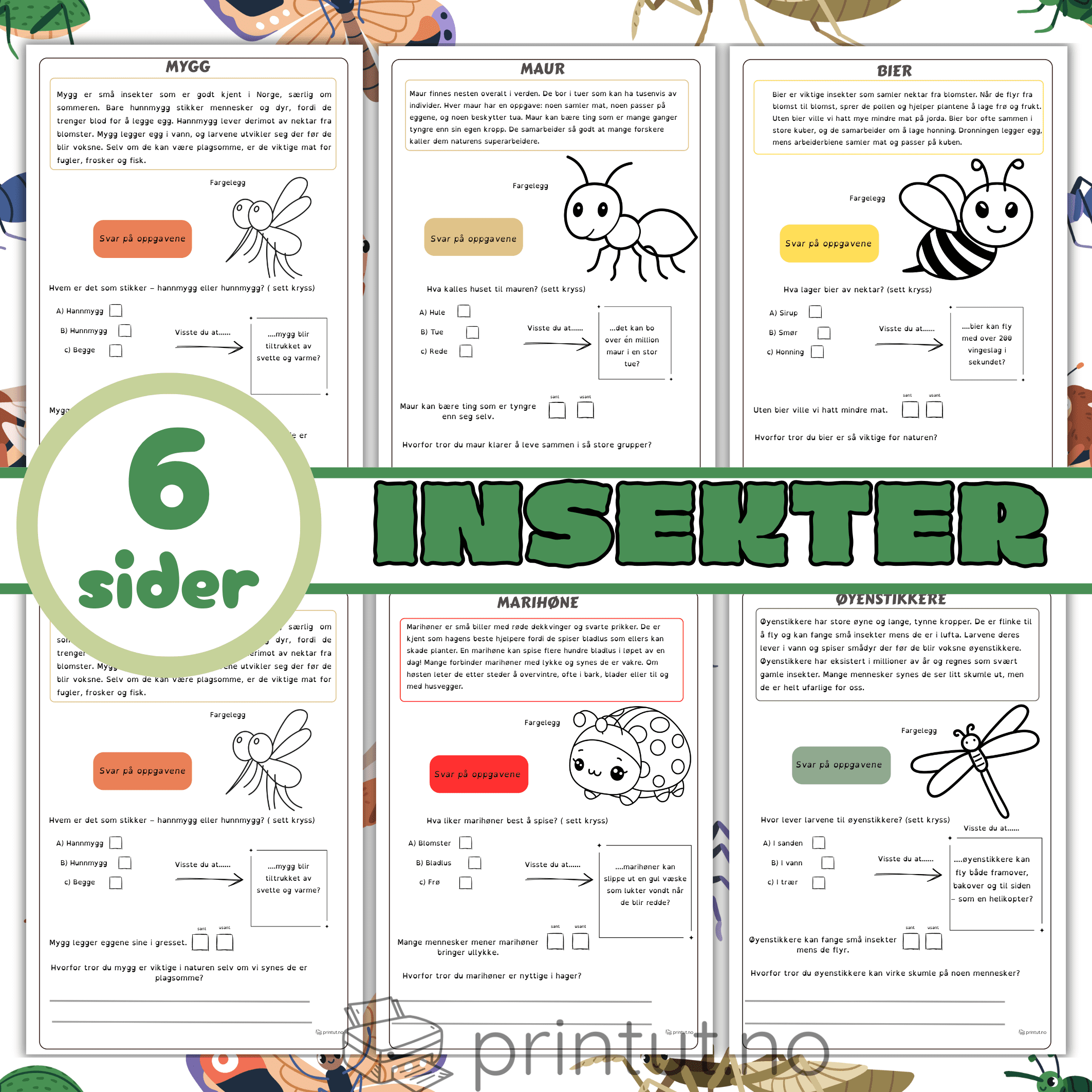 Leseforståelse-Insekter