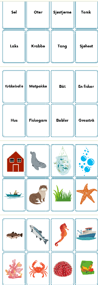 Lotto - havet og fjæra - bilder og ord