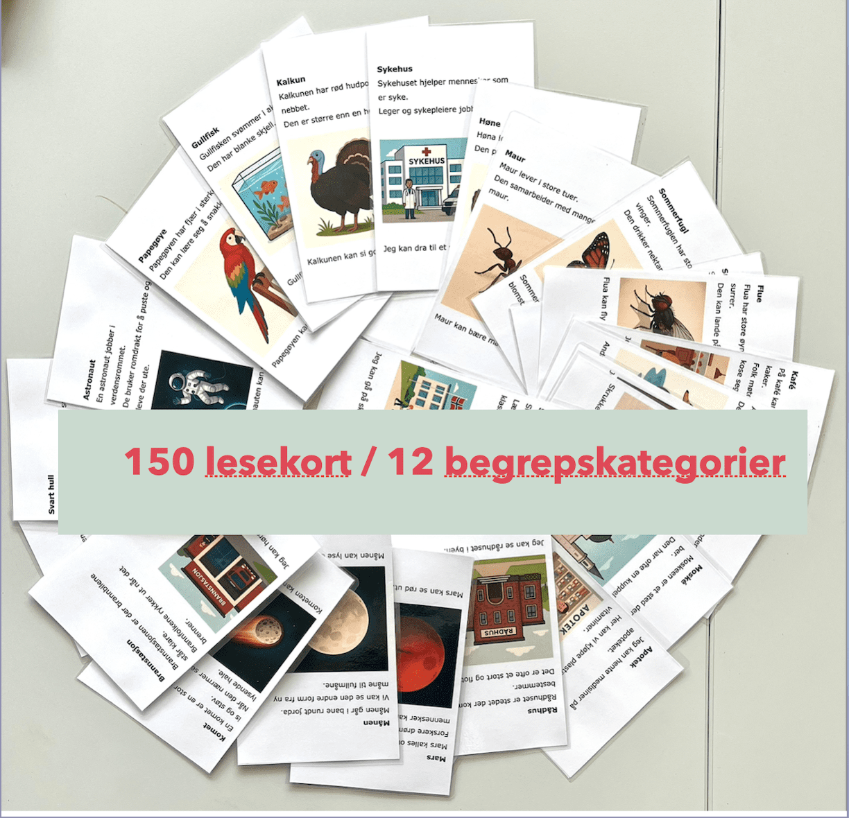Lese- og begrepskort - 150 lesekort/begreper - 12 ulike begrepskategorier - BM