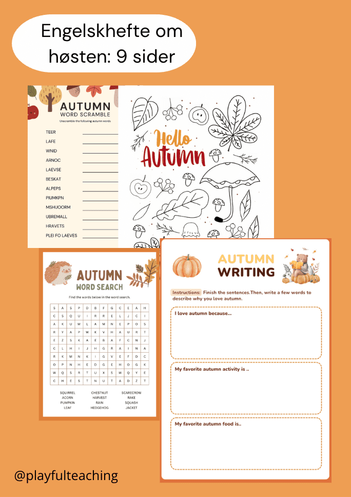 Autumn activity book
