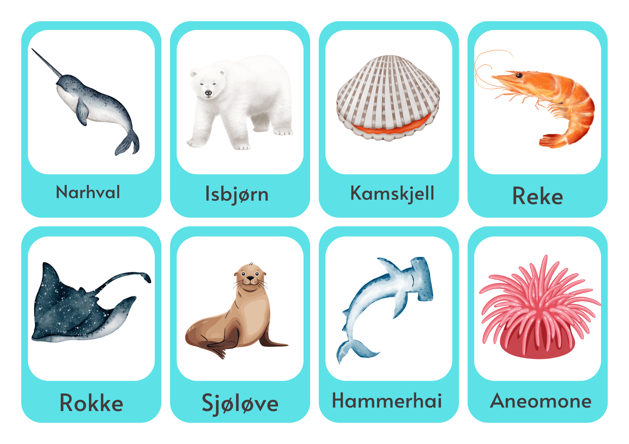 Ordkort: dyr i havet - Bilde 3