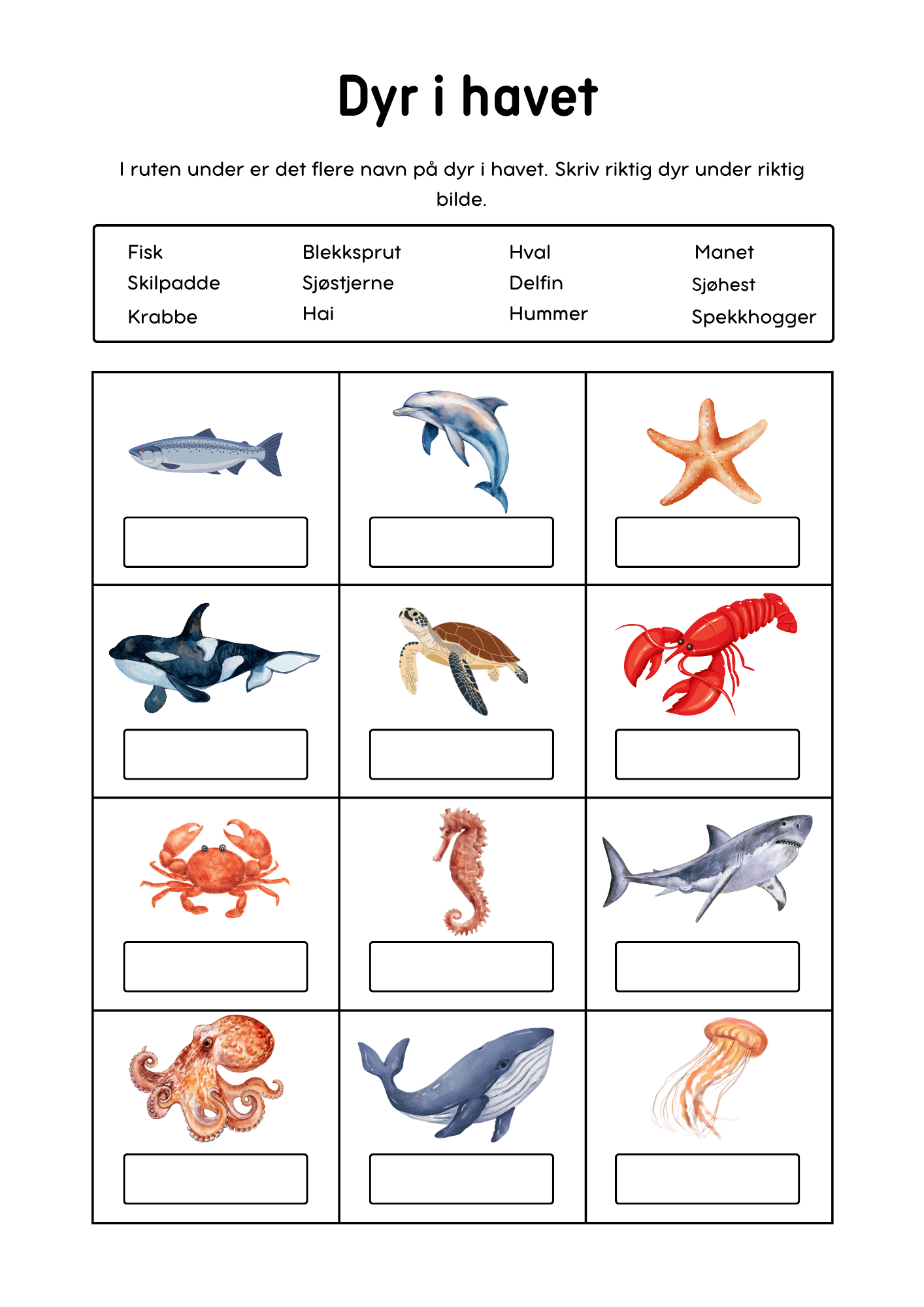 Skriv ordene: Samlepakke