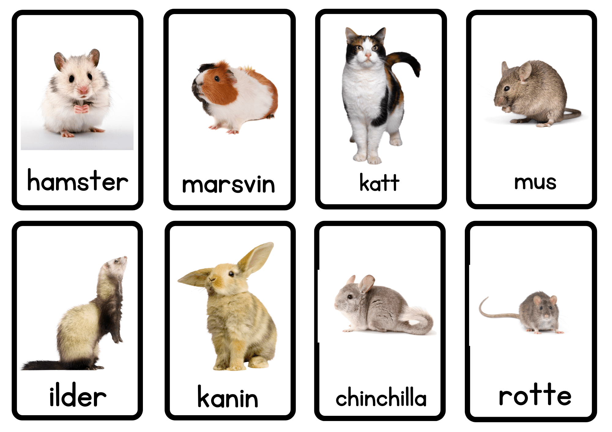 Kjæledyr samlepakke: ordkort, puslespill og arbeidsark