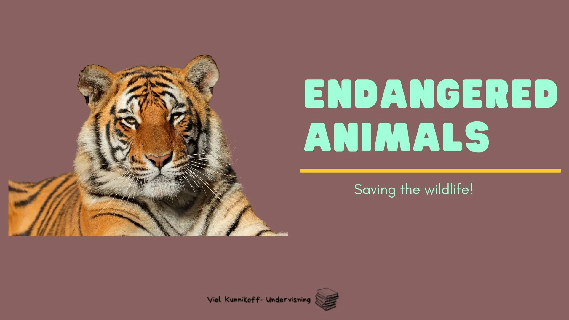 Endangered animals - Bærekraftig utvikling- undervisningsopplegg