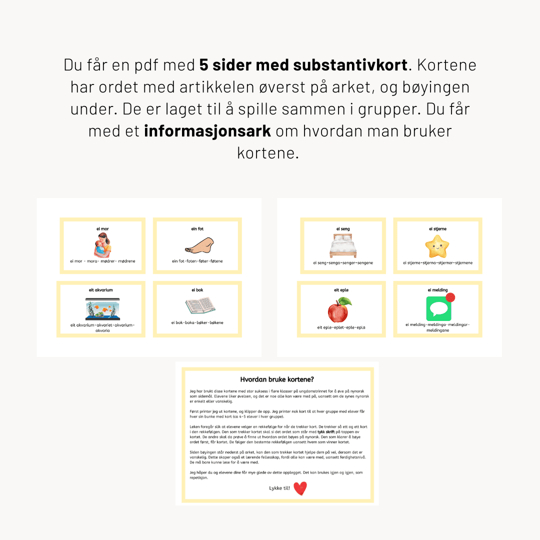 Kortspill om substantivbøying på nynorsk - Bilde 2