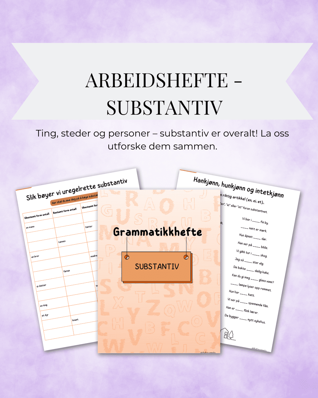 Arbeidshefte grammatikk - SUBSTANTIV