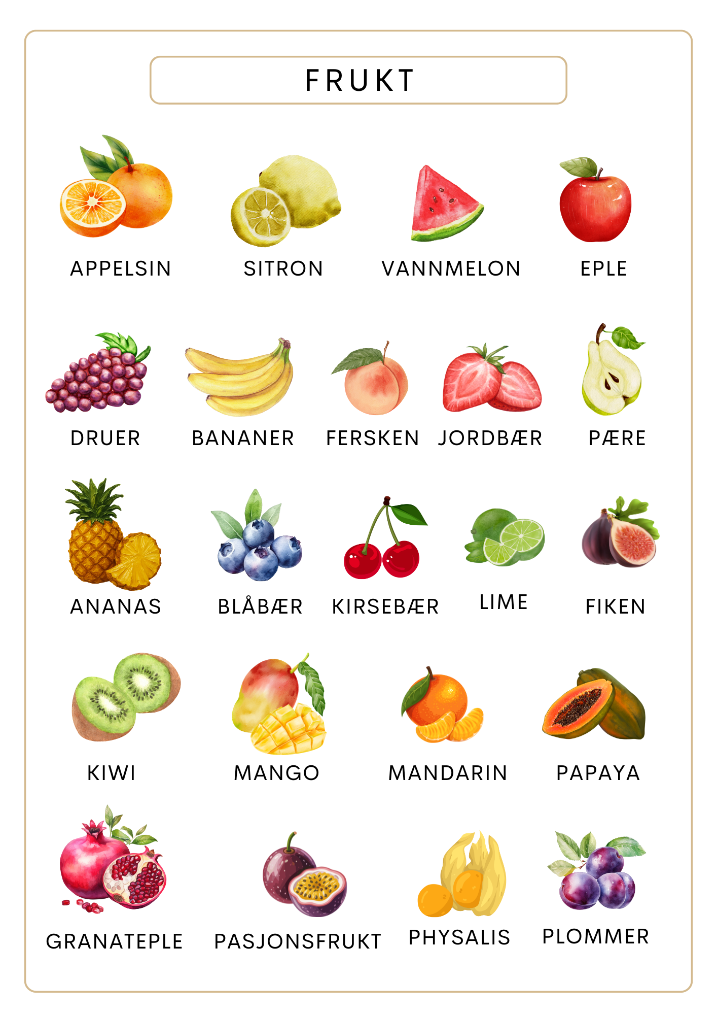 Ordforråd plakat: Frukt