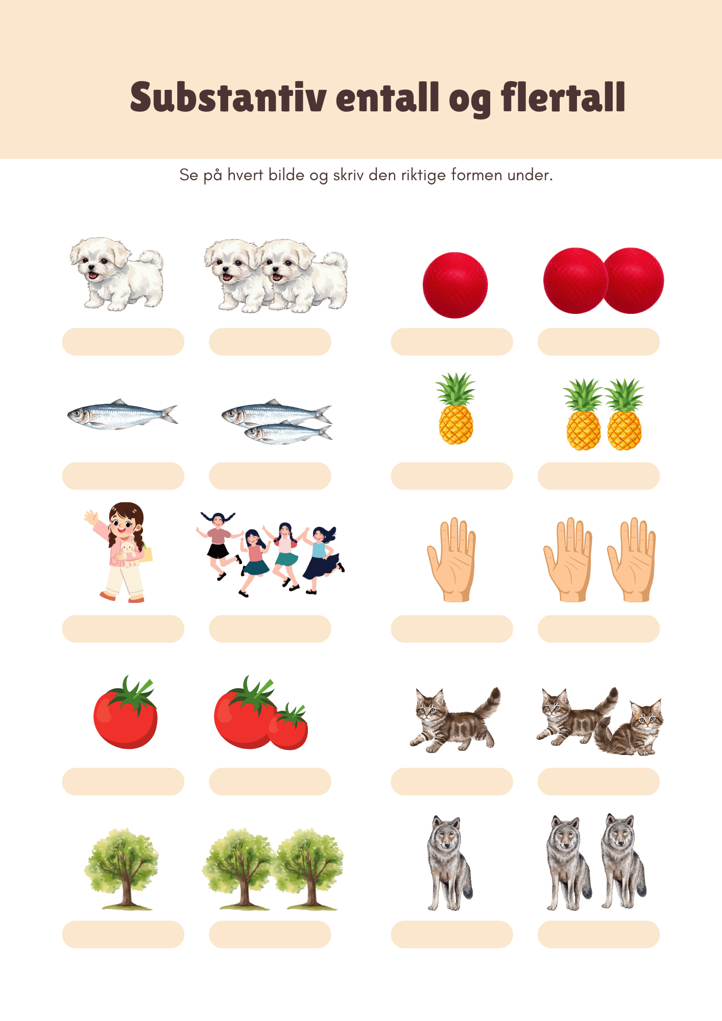 Substantiv entall og flertall