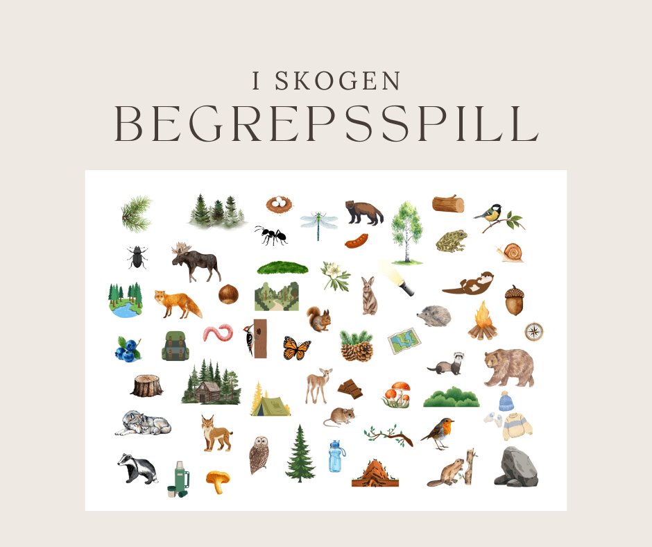 Begrepsspill med skogstema