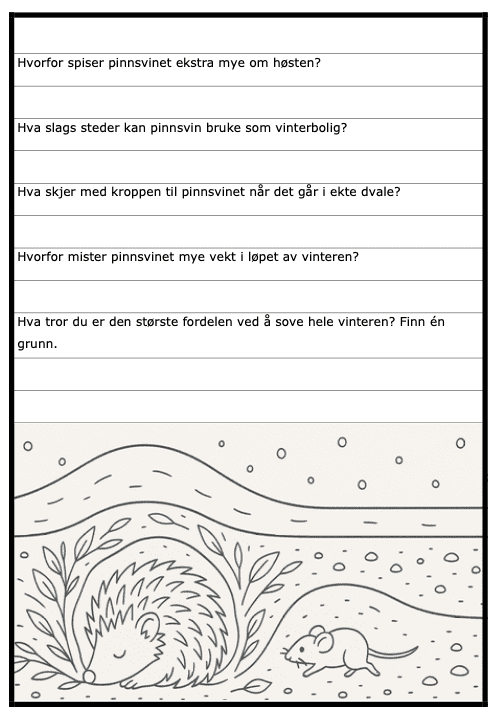 Hvor bor dyra om vinteren? - BM - faktatekst med spørsmål - 24 sider - ca 3.-5.trinn - Bilde 3