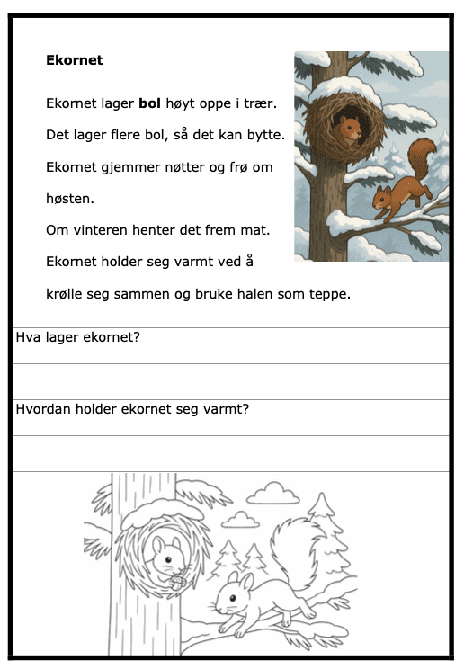 Hvor bor dyra om vinteren? - ca 2. trinn - BM - enkel faktatekst med spørsmål - 15 sider - Bilde 2