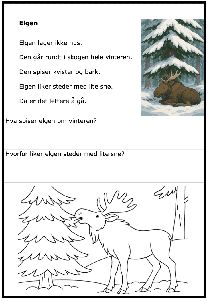 Hvor bor dyra om vinteren? - ca 2. trinn - BM - enkel faktatekst med spørsmål - 15 sider - Bilde 3