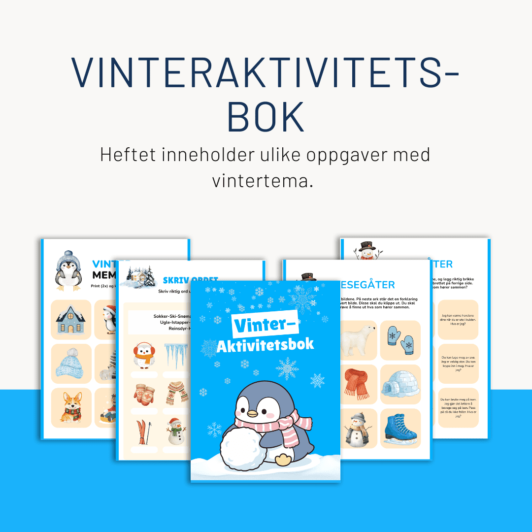 Vinteraktivitetsbok