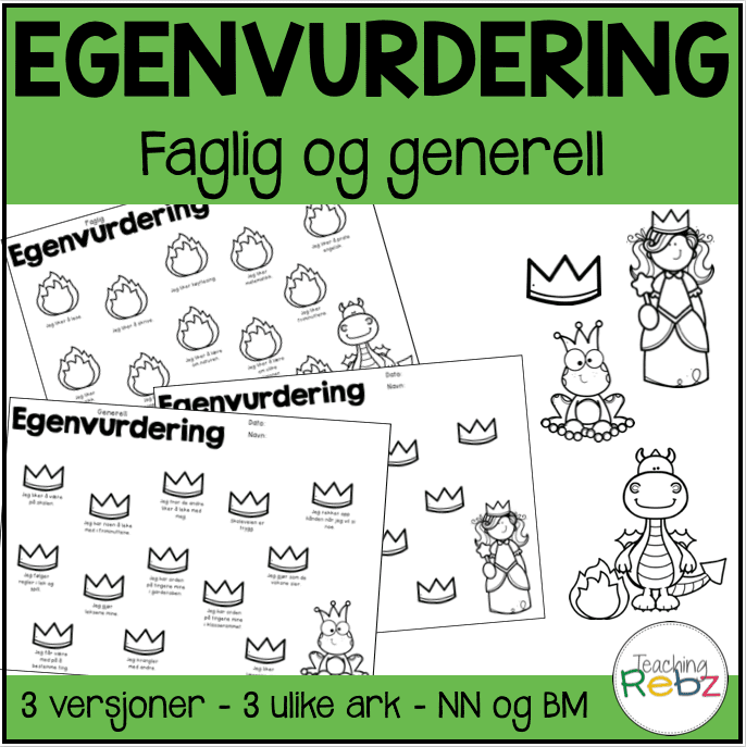 Egenvurdering før elevsamtaler / utviklingssamtaler - NN og BM