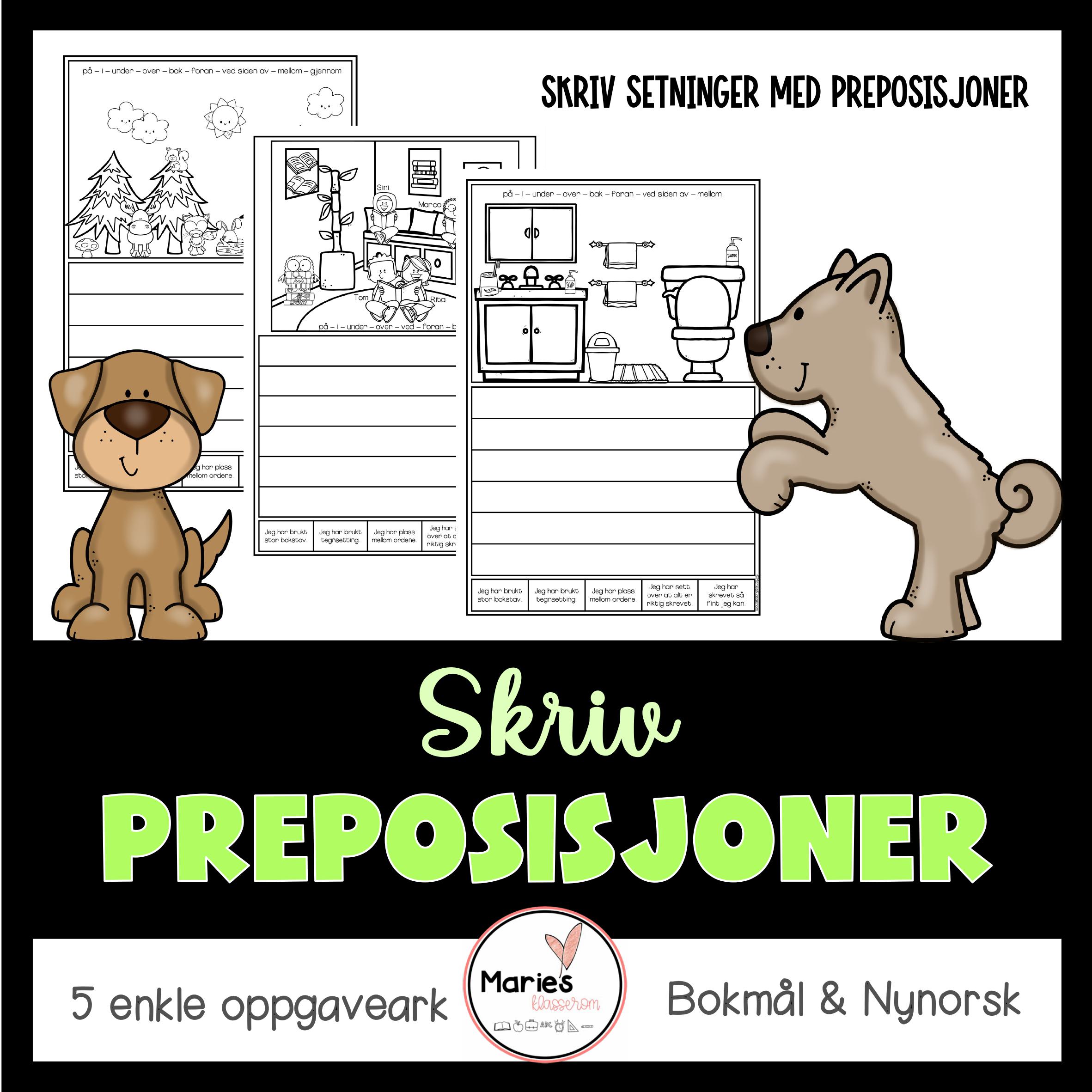 SKRIV PREPOSISJONER