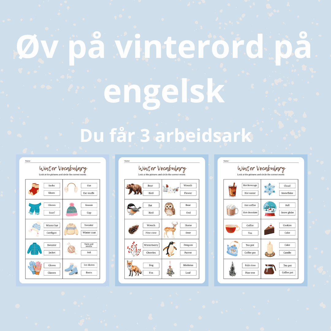Vinterord på engelsk (arbeidsark)