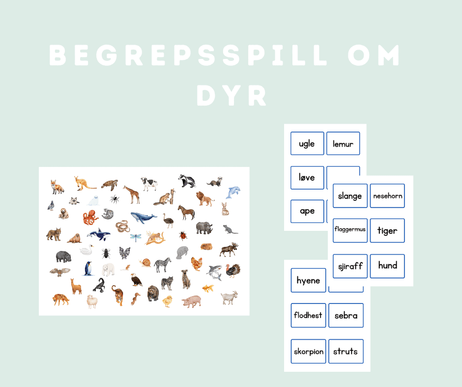 Begrepsspill om dyr