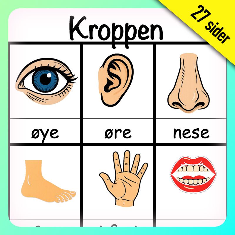 Hefte: Kroppen