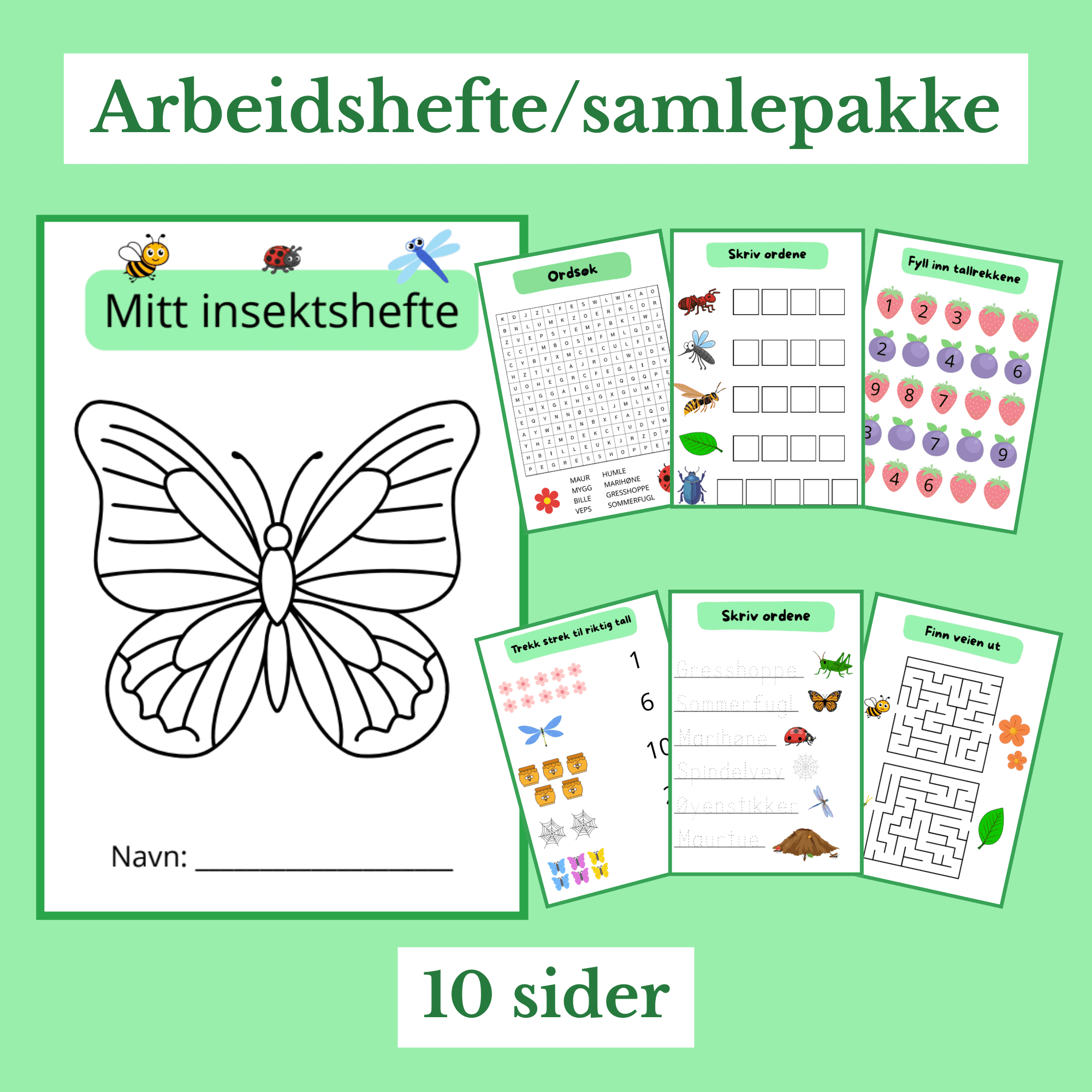 Insektshefte 1.klasse (norsk og matte)