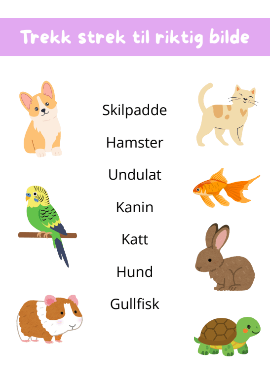 Trekk strek til riktig bilde - Bilde 6