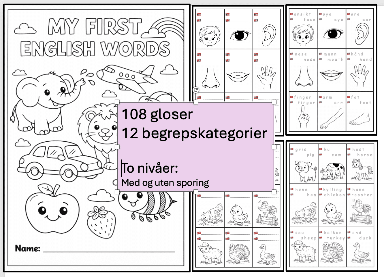 My first english words - 108 gloser - 1.-2.trinn - begynneropplæring - spesialundervisning - to nivåer