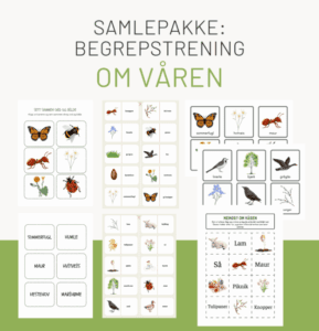 Samlepakke: Begrepsoppgaver om våren