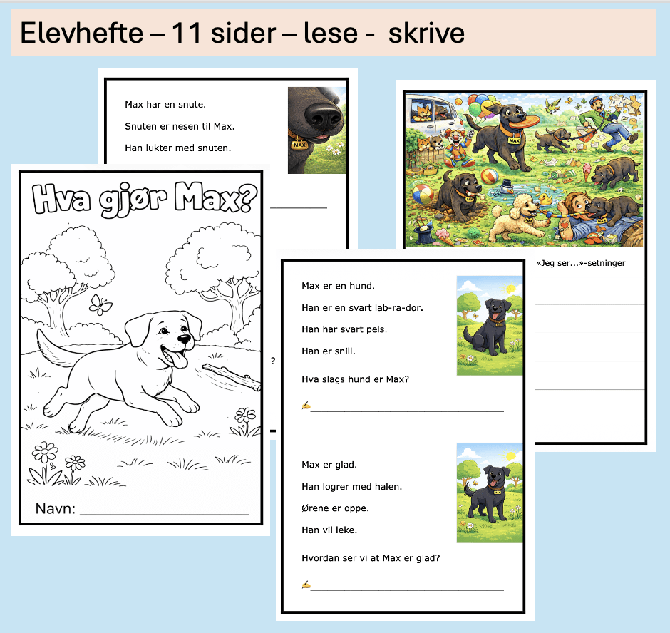 Hva gjør Max? - BM- lese/skrive - ca 1.-2.trinn - spesialundervisning