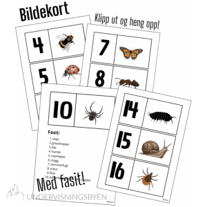 Let og skriv insekter og småkryp