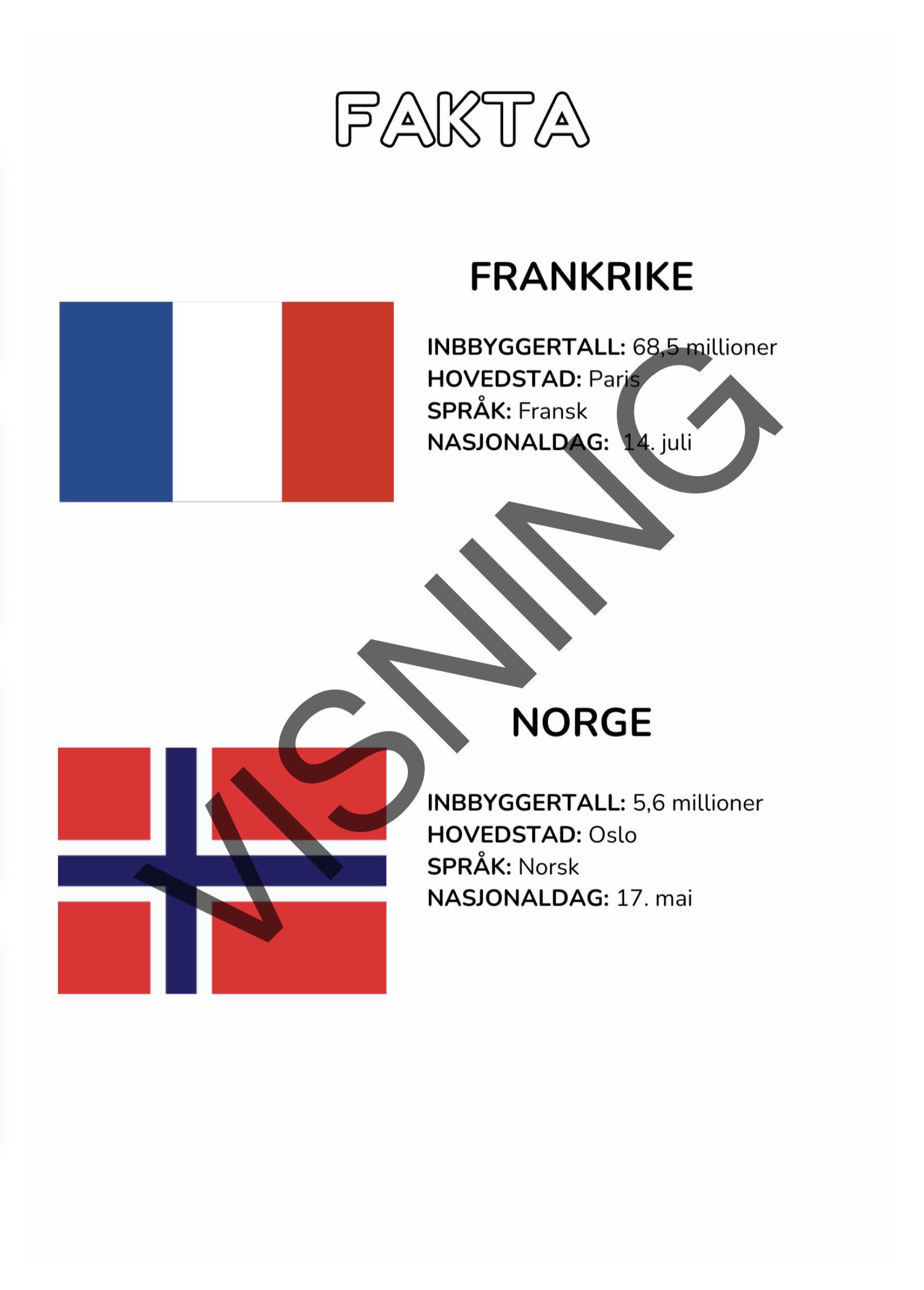 Fotball-VM Aktivitetshefte - Bilde 12