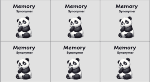 Memory - synonymer