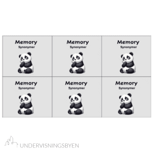 Memory - synonymer